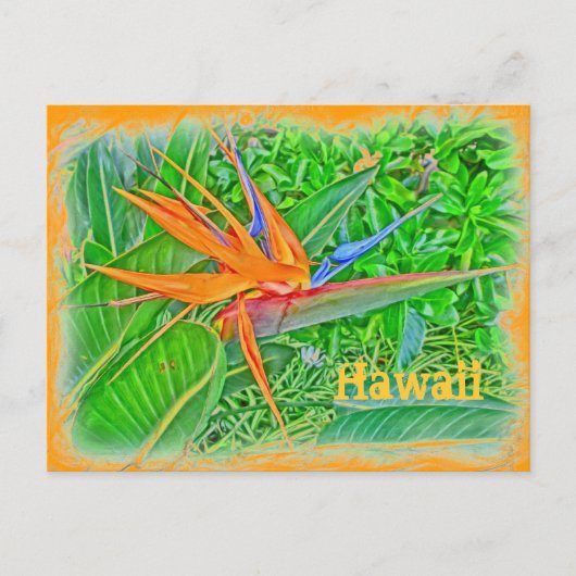 Carte postale paradis des oiseaux d'Hawaï (Devant)