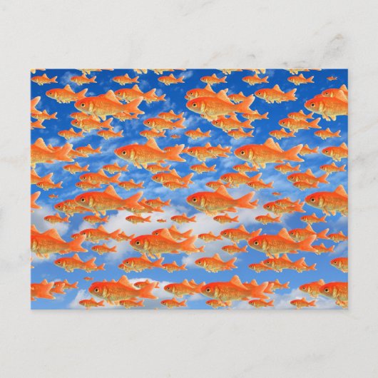 Carte Postale Paradis des poissons rouges (Devant)