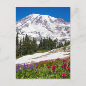 Carte Postale Paradis Mt. Rainer (Devant)