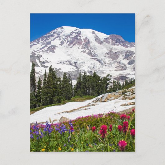Carte Postale Paradis Mt. Rainer (Devant)