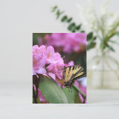 Carte Postale Paradis papillon (Debout devant)