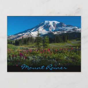 Carte Postale Paradis prairies fleurs sauvages