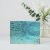 Carte Postale Paradis sous-marin (Debout devant)