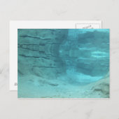 Carte Postale Paradis sous-marin (Devant / Derrière)