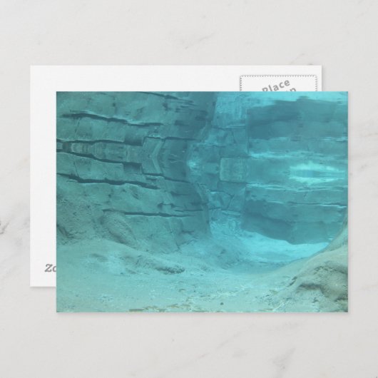 Carte Postale Paradis sous-marin (Devant / Derrière)