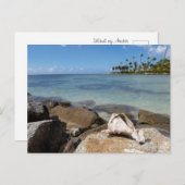 Carte Postale Paradis Tropical (Devant / Derrière)