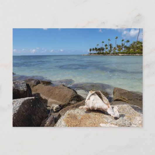 Carte Postale Paradis Tropical (Devant)