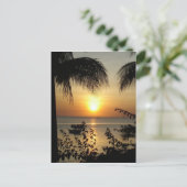 Carte Postale Paradis tropical (Debout devant)