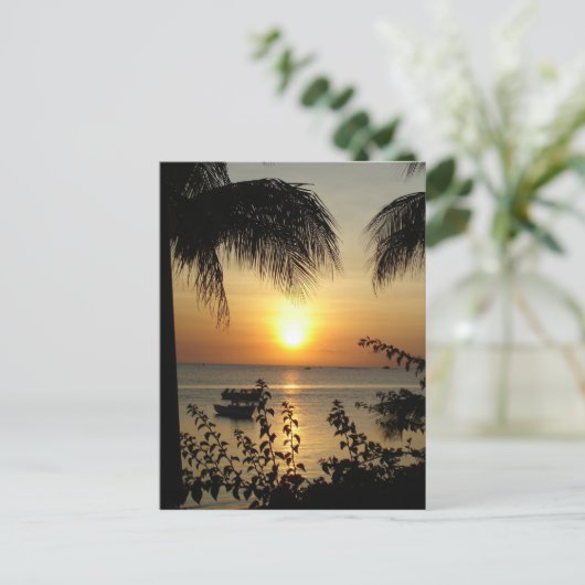 Carte Postale Paradis tropical (Debout devant)