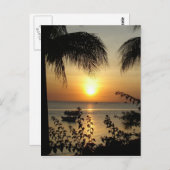 Carte Postale Paradis tropical (Devant / Derrière)