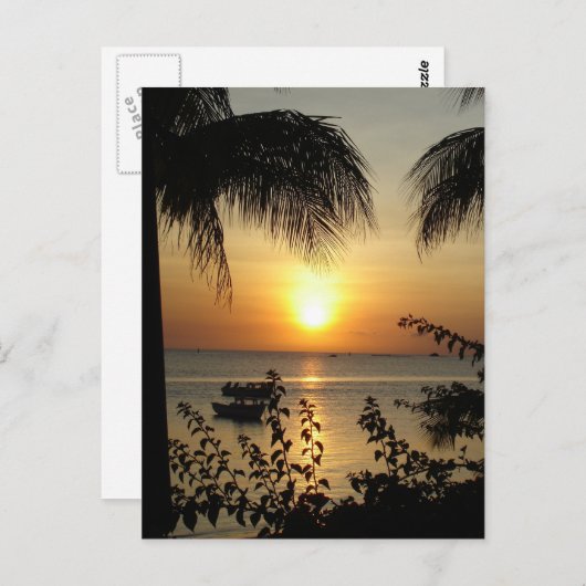 Carte Postale Paradis tropical (Devant / Derrière)