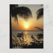 Carte Postale Paradis tropical (Devant)