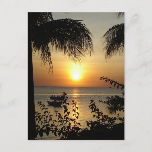 Carte Postale Paradis tropical (Devant)