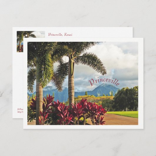 Carte Postale "Paradis tropical"/Princeville, Kauai (Devant / Derrière)