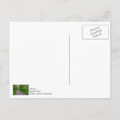 Carte Postale Paradis Vert (Dos)