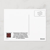 Carte postale Paradise (Dos)