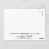 CARTE POSTALE PARADISE FLOWER (Dos)