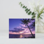 Carte Postale Paradise Island (Debout devant)