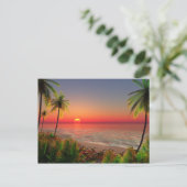 Carte postale Paradise Island (Debout devant)