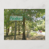 Carte Postale Paradise Lane Floride (Devant)