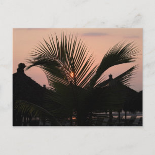 Carte Postale Paradise Village - Puerto Vallarta, Mexique