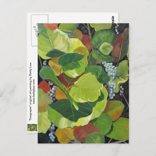 Carte Postale Paragraphe (Devant / Derrière)