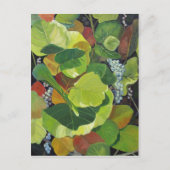 Carte Postale Paragraphe (Devant)