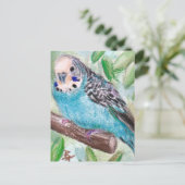 Carte postale Parakethe bleu (Debout devant)