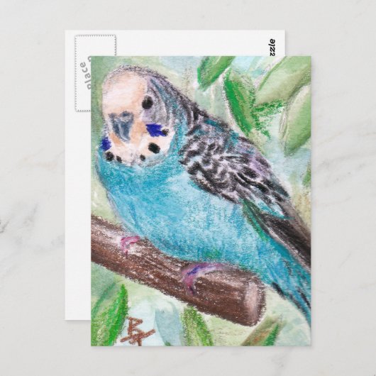 Carte postale Parakethe bleu (Devant / Derrière)