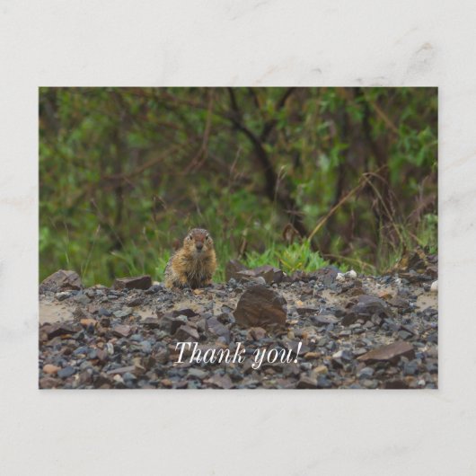 Carte Postale Parapluie s'il vous plaît (Devant)
