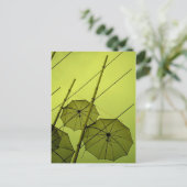 Carte Postale parapluies (Debout devant)