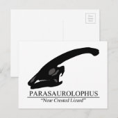 Carte Postale Parasaurolophus (Devant / Derrière)