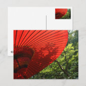 Carte Postale Parasol japonais (Devant / Derrière)