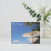 Carte Postale parasols boracay relaxants (Debout devant)