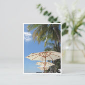 Carte Postale parasols de Boracay bleus (Debout devant)
