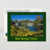 Carte Postale Parc à thème Silver Springs Nature, Floride, États (Devant / Derrière)