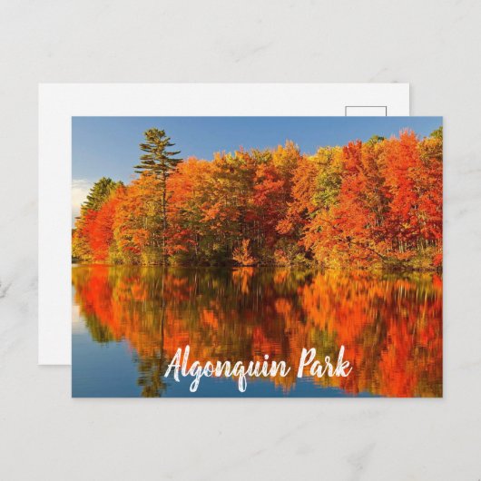 Carte Postale Parc Algonquin Canada Automne stylisé (Devant / Derrière)
