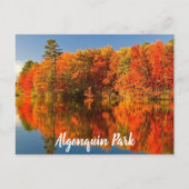 Carte Postale Parc Algonquin Canada Automne stylisé (Devant)