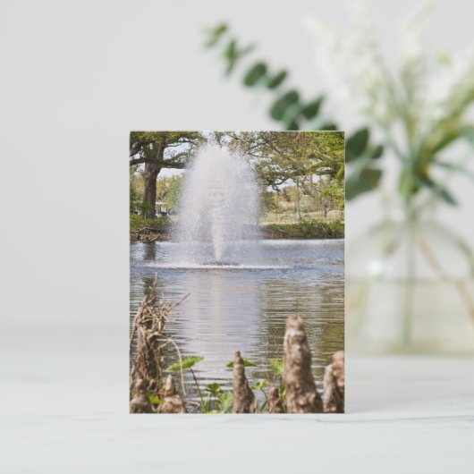 Carte Postale Parc Audubon (Debout devant)