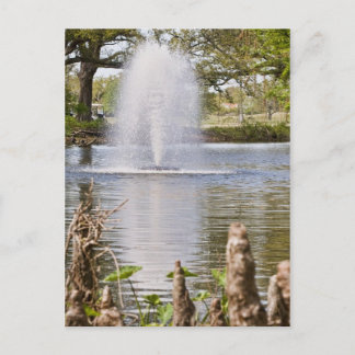 Carte Postale Parc Audubon