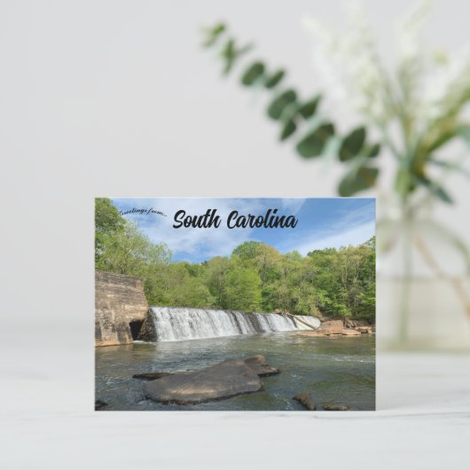 Carte Postale Parc Cedar Falls Caroline du Sud (Debout devant)