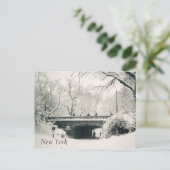 Carte Postale parc central (Debout devant)