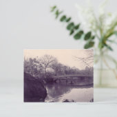 Carte Postale parc central, Central Park - NY (Debout devant)