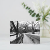 Carte Postale Parc central de Snowy (Debout devant)
