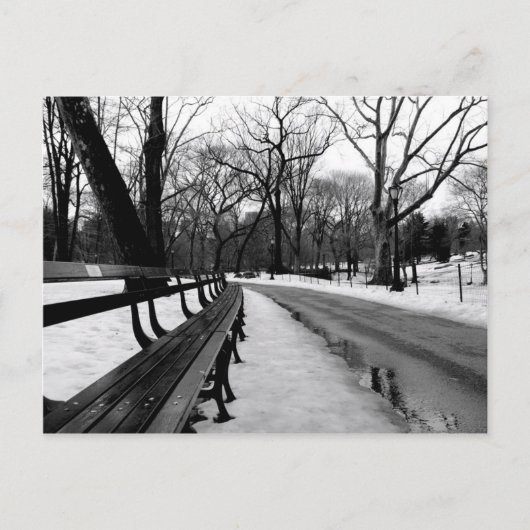 Carte Postale Parc central de Snowy (Devant)