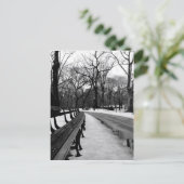 Carte Postale Parc central de Snowy (Debout devant)