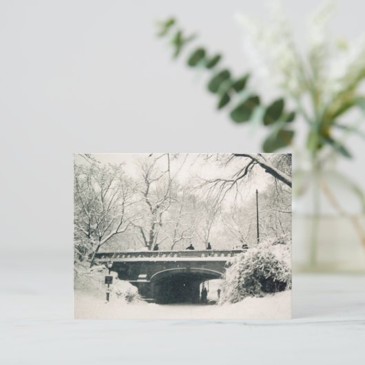 Carte Postale parc central hiver (Debout devant)