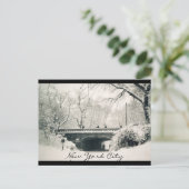 Carte Postale parc central nyc (Debout devant)