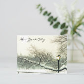 Carte Postale parc central nyc tree (Debout devant)