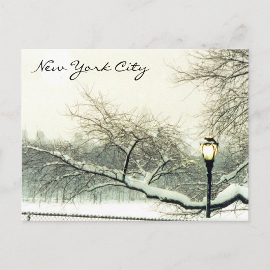 Carte Postale parc central nyc tree (Devant)